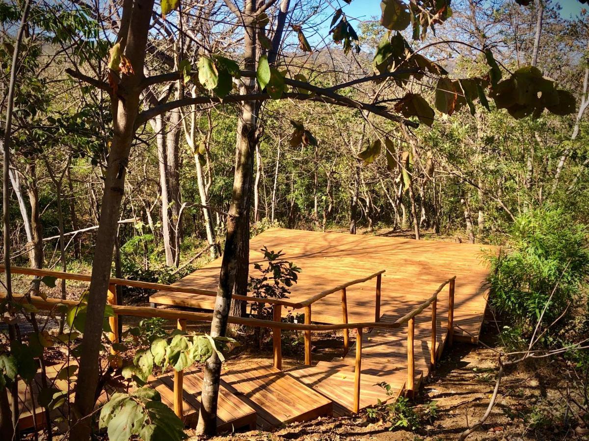 San José Pinilla Hyla Nature Retreat酒店 外观 照片