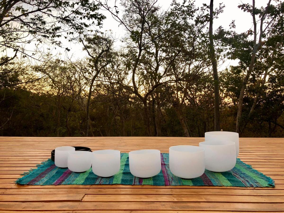 San José Pinilla Hyla Nature Retreat酒店 外观 照片