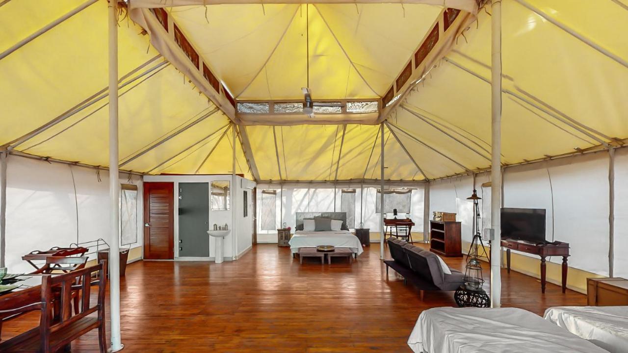 San José Pinilla Hyla Nature Retreat酒店 外观 照片