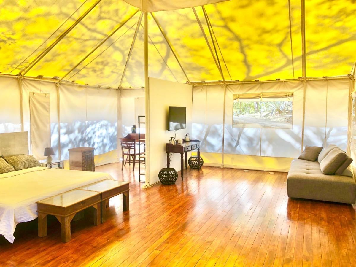San José Pinilla Hyla Nature Retreat酒店 外观 照片