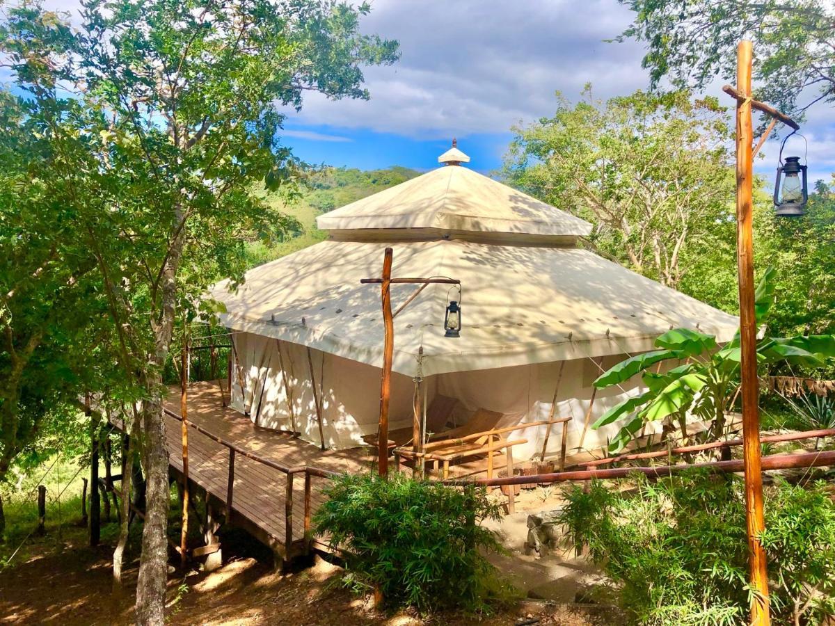 San José Pinilla Hyla Nature Retreat酒店 外观 照片