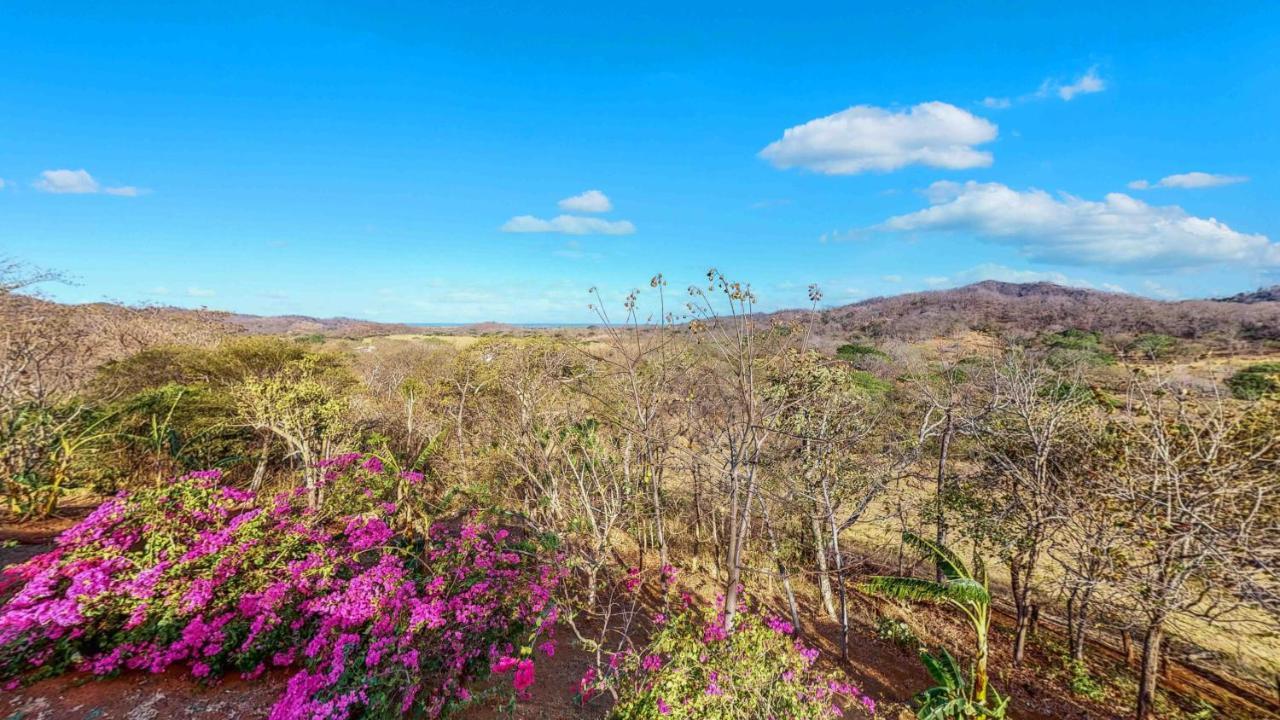 San José Pinilla Hyla Nature Retreat酒店 外观 照片