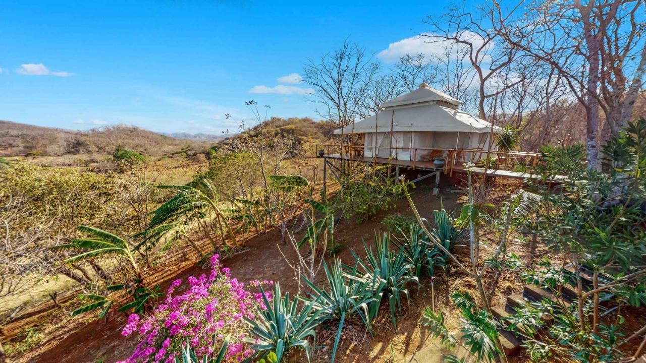 San José Pinilla Hyla Nature Retreat酒店 外观 照片